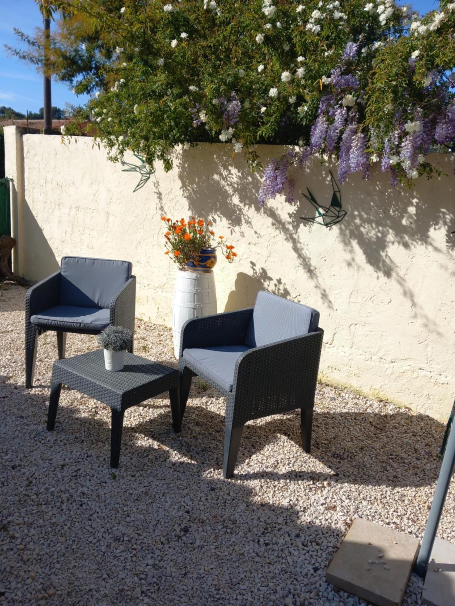 Avec Jardin Et Parking Prives Apartment *